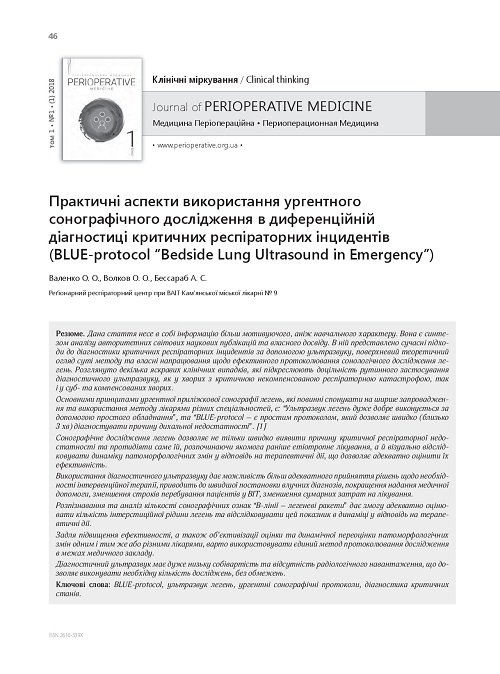 Practical aspects of use of emergency sonography for differential diagnosis of critical respiratory incidents (Blue-protocol “Bedside Lung Ultrasound in Emergency”)